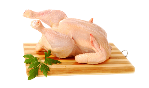 Ayam