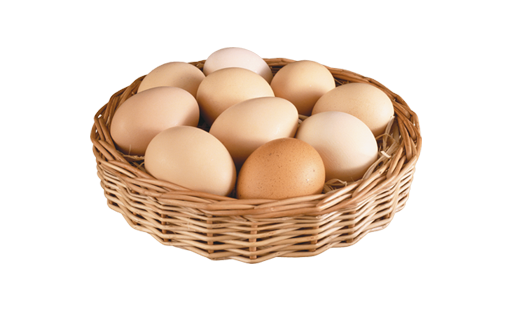 Telur