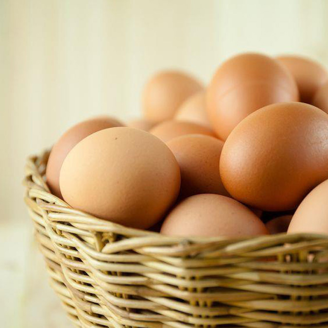 Telur